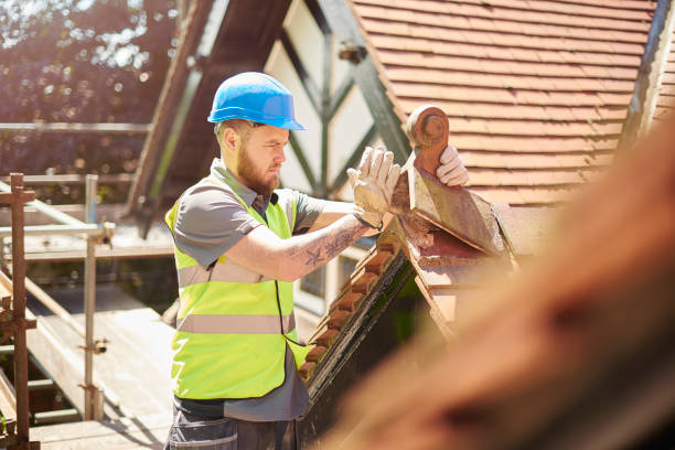 Best Metal Roofing Contractor  in Bainbridge Island, WA